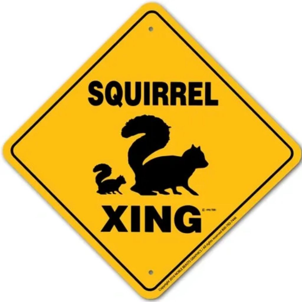 Noble Beasts - Squirrel X-ing Sign
