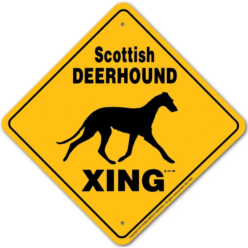 Noble Beasts - Sign X-ing Scottish Deerhound
