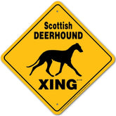 Noble Beasts - Sign X-ing Scottish Deerhound
