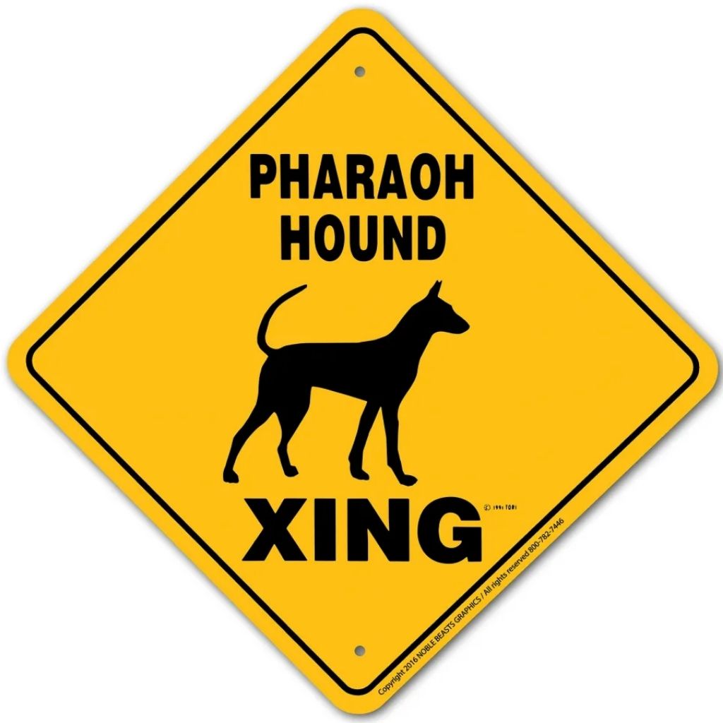 Noble Beasts - Pharaoh Hound X-ing Sign