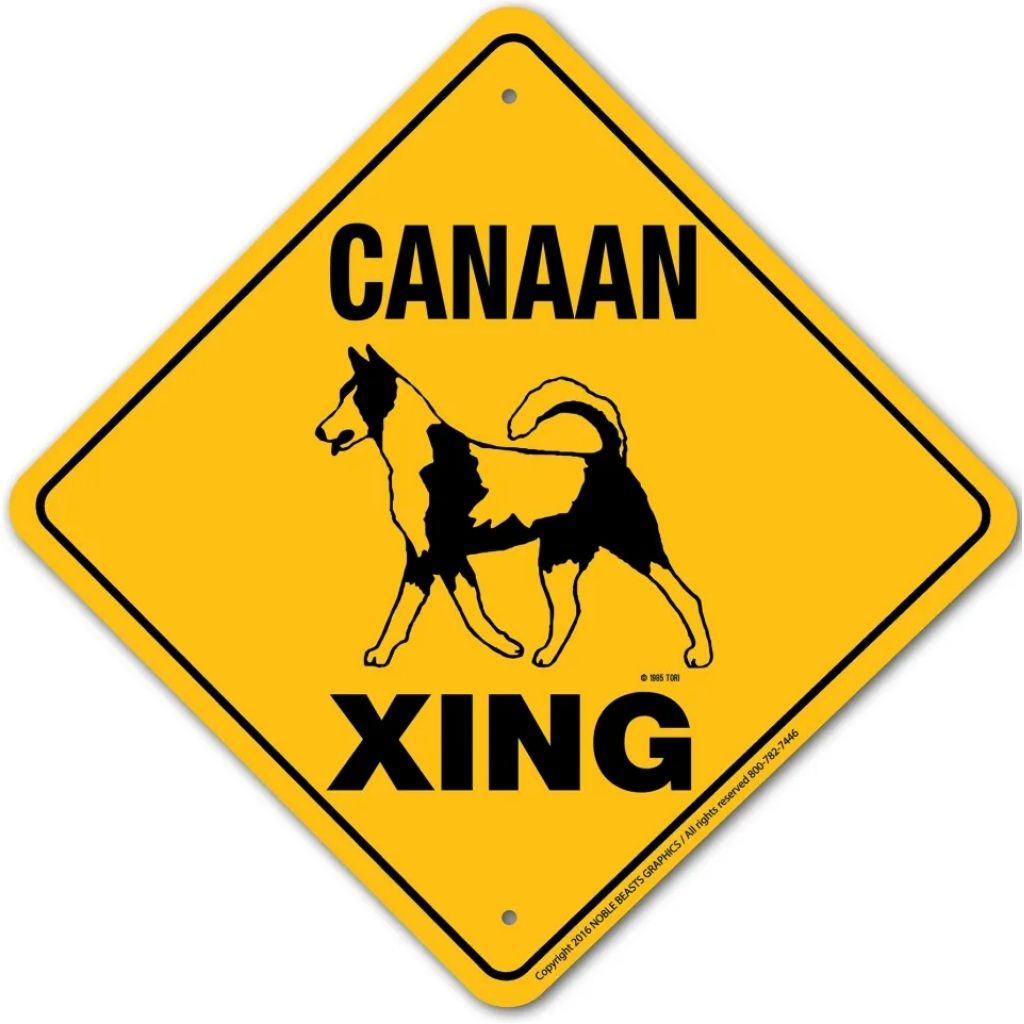 Noble Beasts - Canaan X-ing Sign