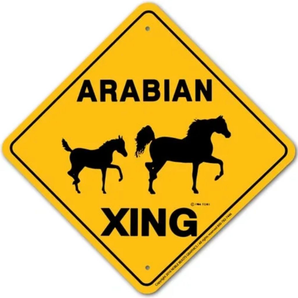 Noble Beasts - Arabian X-ing Sign