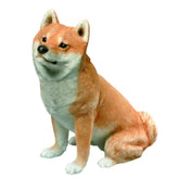 Sandicast - Figurine Midsize Shiba Inu