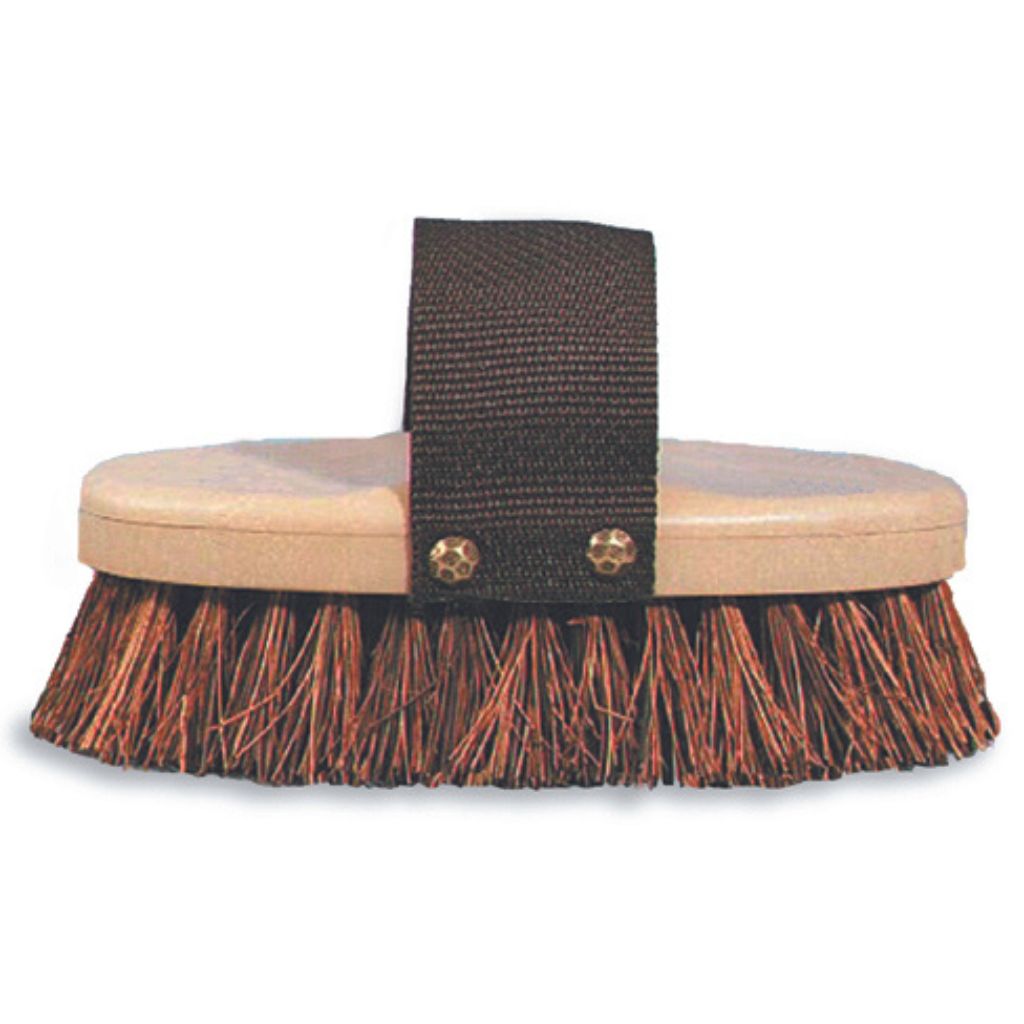 Classic Palmyra Brush W/ Strap - Southern Agriculture 