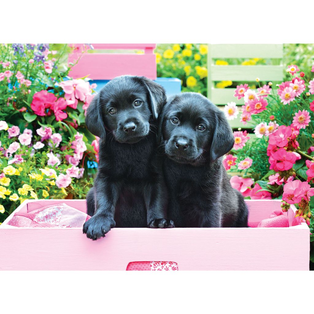 Eurographics Puzzles - Puzzle Black Labs in Pink Box