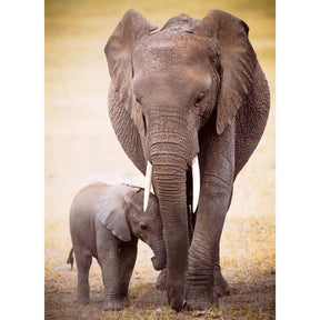 Eurographics Puzzles - Puzzle Elephant & Baby
