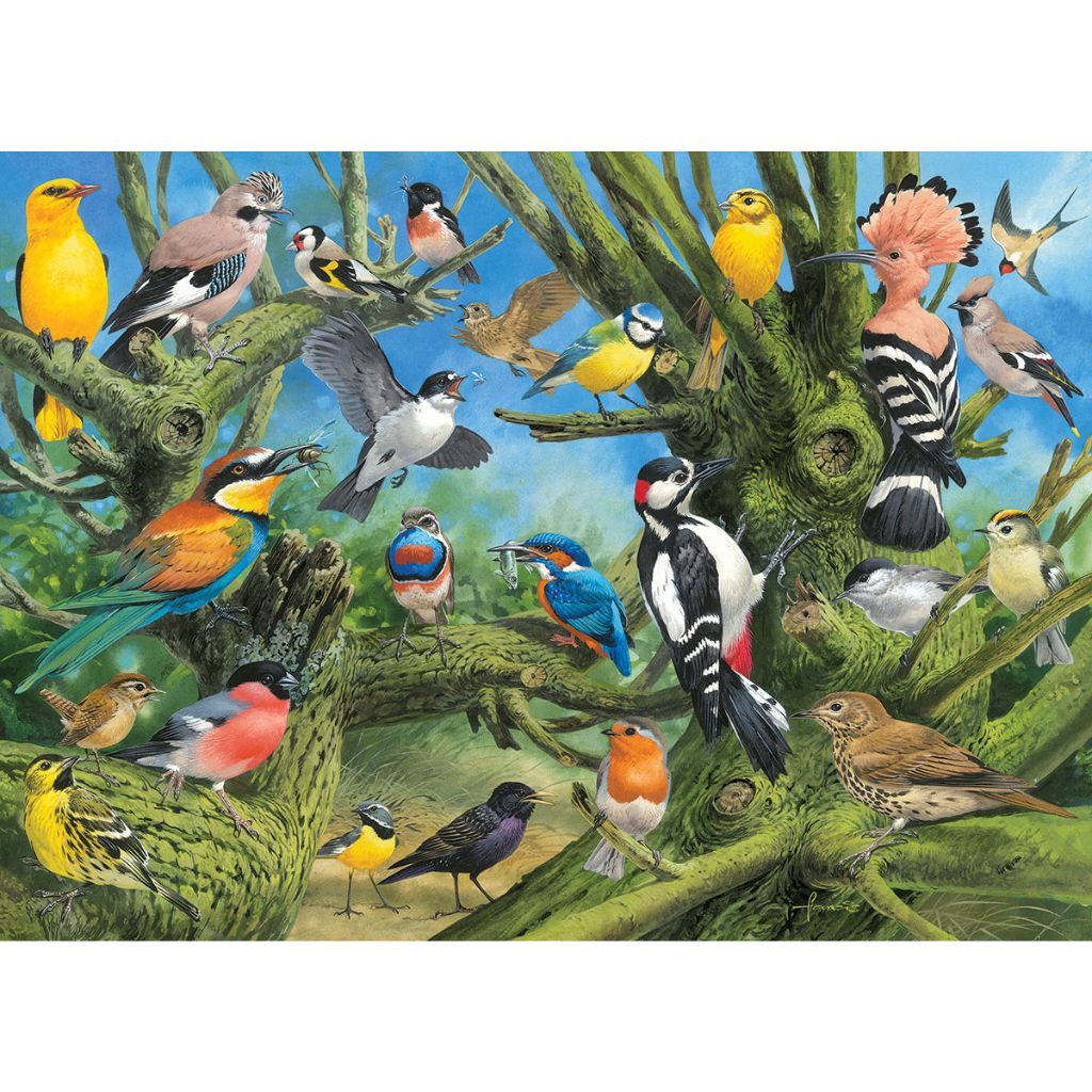 Eurographics Puzzles - Puzzle Garden Birds