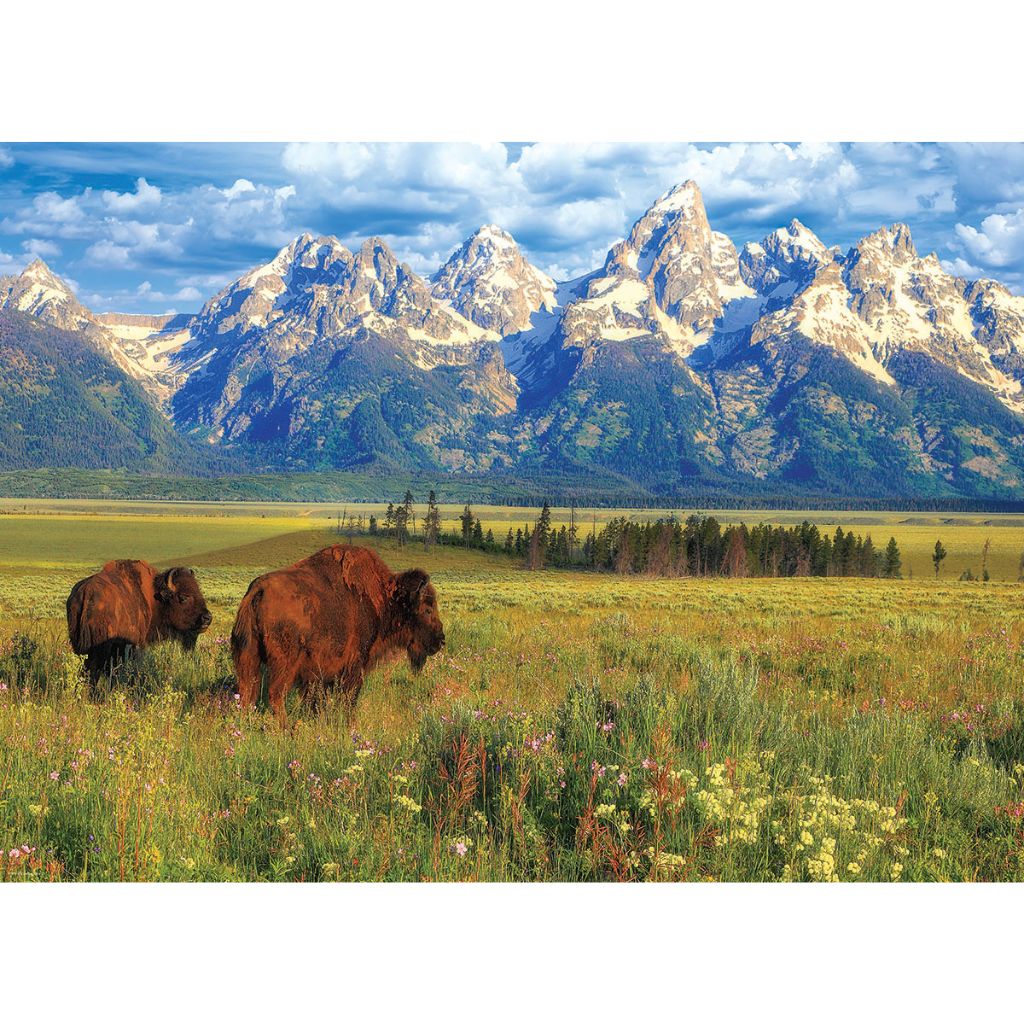 Eurographics Puzzles - Puzzle Grand Teton National Park