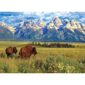 Eurographics Puzzles - Puzzle Grand Teton National Park