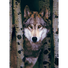 Eurographics Puzzles - Puzzle Gray Wolf