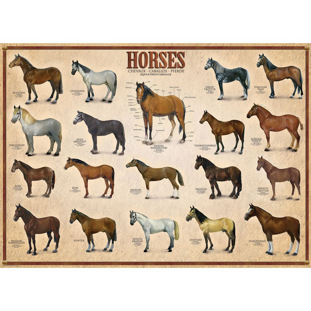 Eurographics Puzzles - Puzzle Horses
