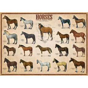 Eurographics Puzzles - Puzzle Horses