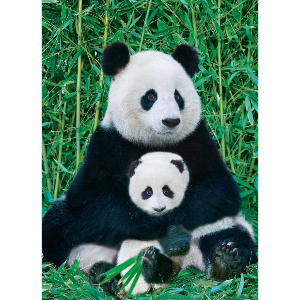 Eurographics Puzzles - Puzzle Panda & Baby