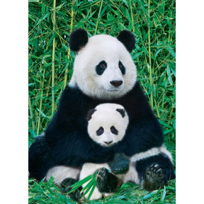 Eurographics Puzzles - Puzzle Panda & Baby