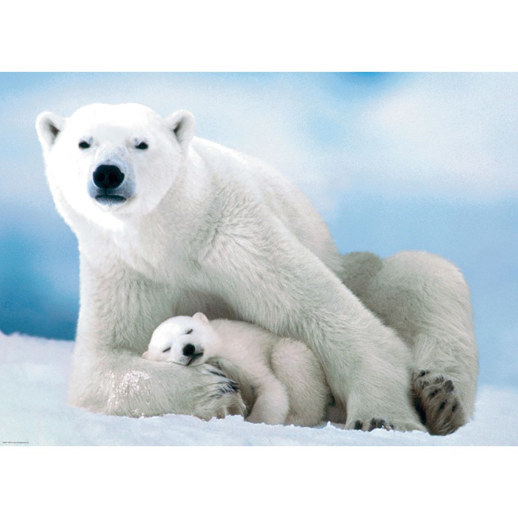 Eurographics Puzzles - Puzzle Polar Bear and Baby