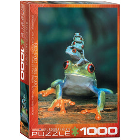 Eurographics Puzzles - Puzzle Red-Eyed Tree Frog
