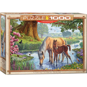 Eurographics Puzzles - Puzzle The Fell Ponies