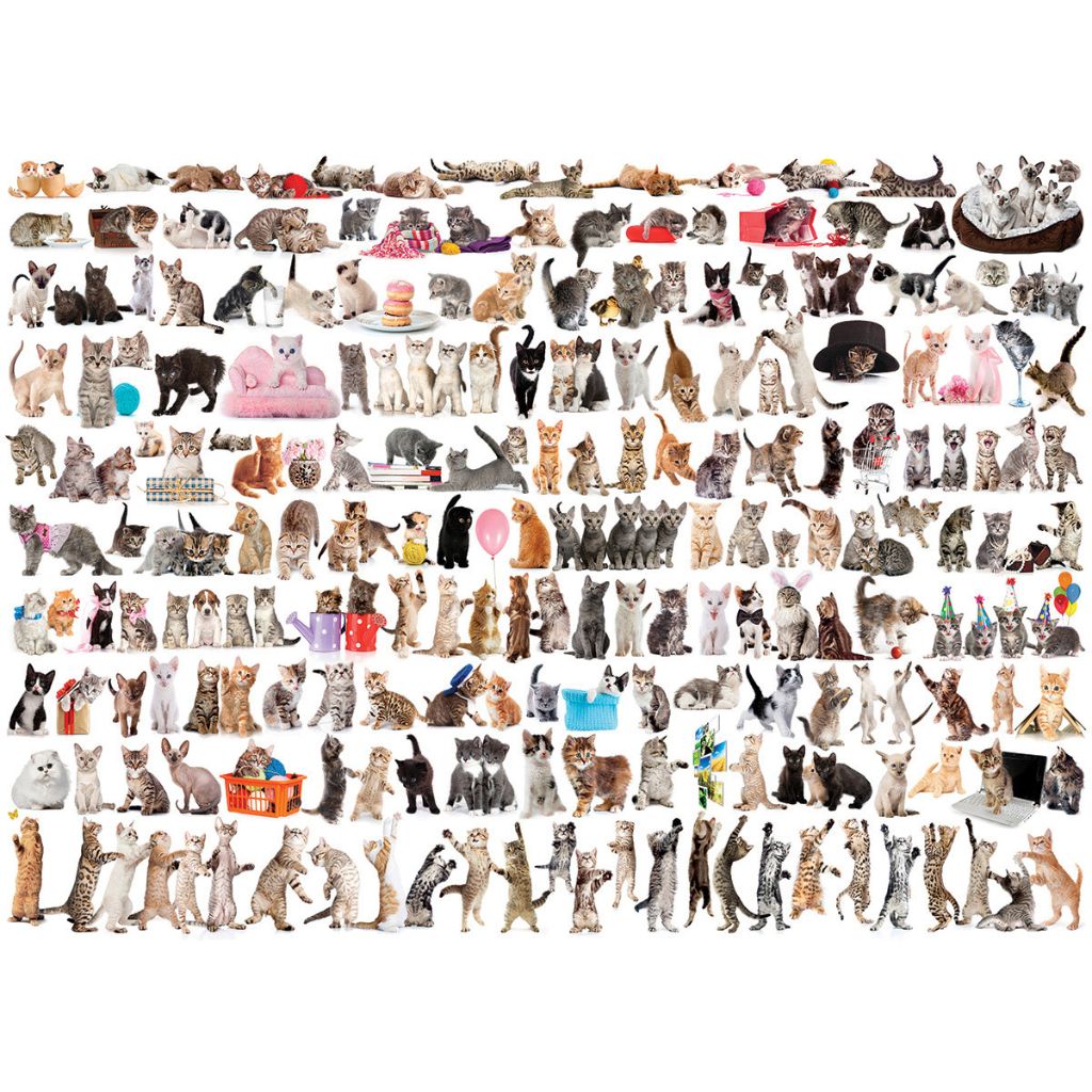 Eurographics Puzzles - Puzzle The World of Cats