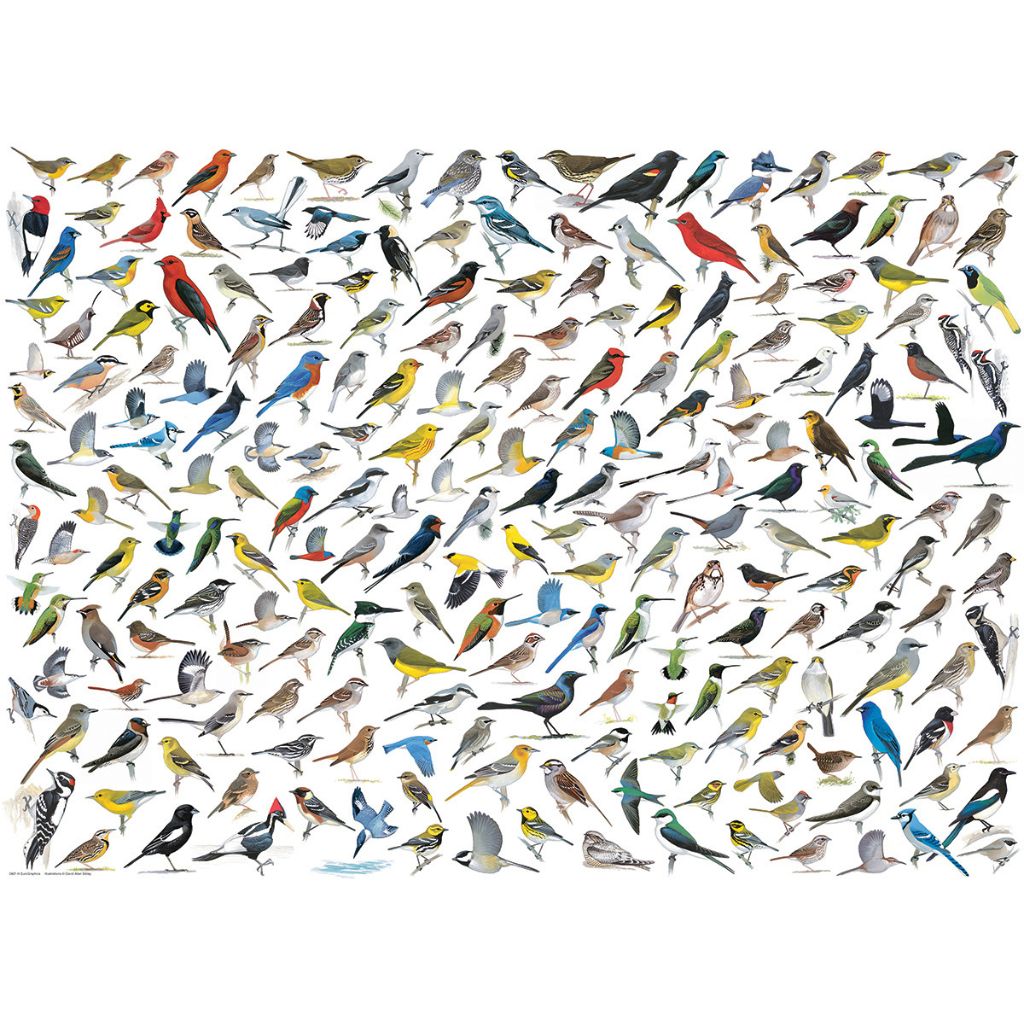Eurographics Puzzles - Puzzle World of Birds