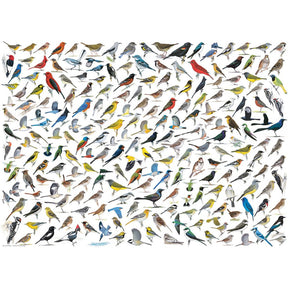 Eurographics Puzzles - Puzzle World of Birds
