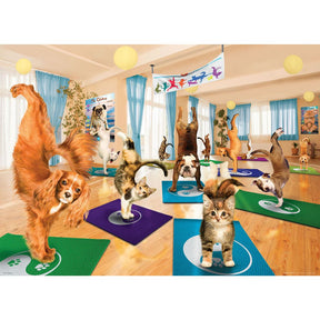 Eurographics Puzzles - Puzzle Yoga Studio