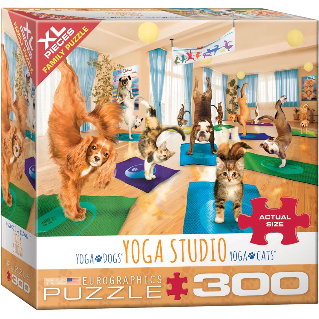 Eurographics Puzzles - Puzzle Yoga Studio