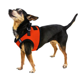 Harness Nylon Mesh Small (Boston - With 2 Velcro Patches) - Southern Agriculture 