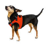 Harness Nylon Mesh XLarge (Boston - With 2 Velcro Patches) - Southern Agriculture 