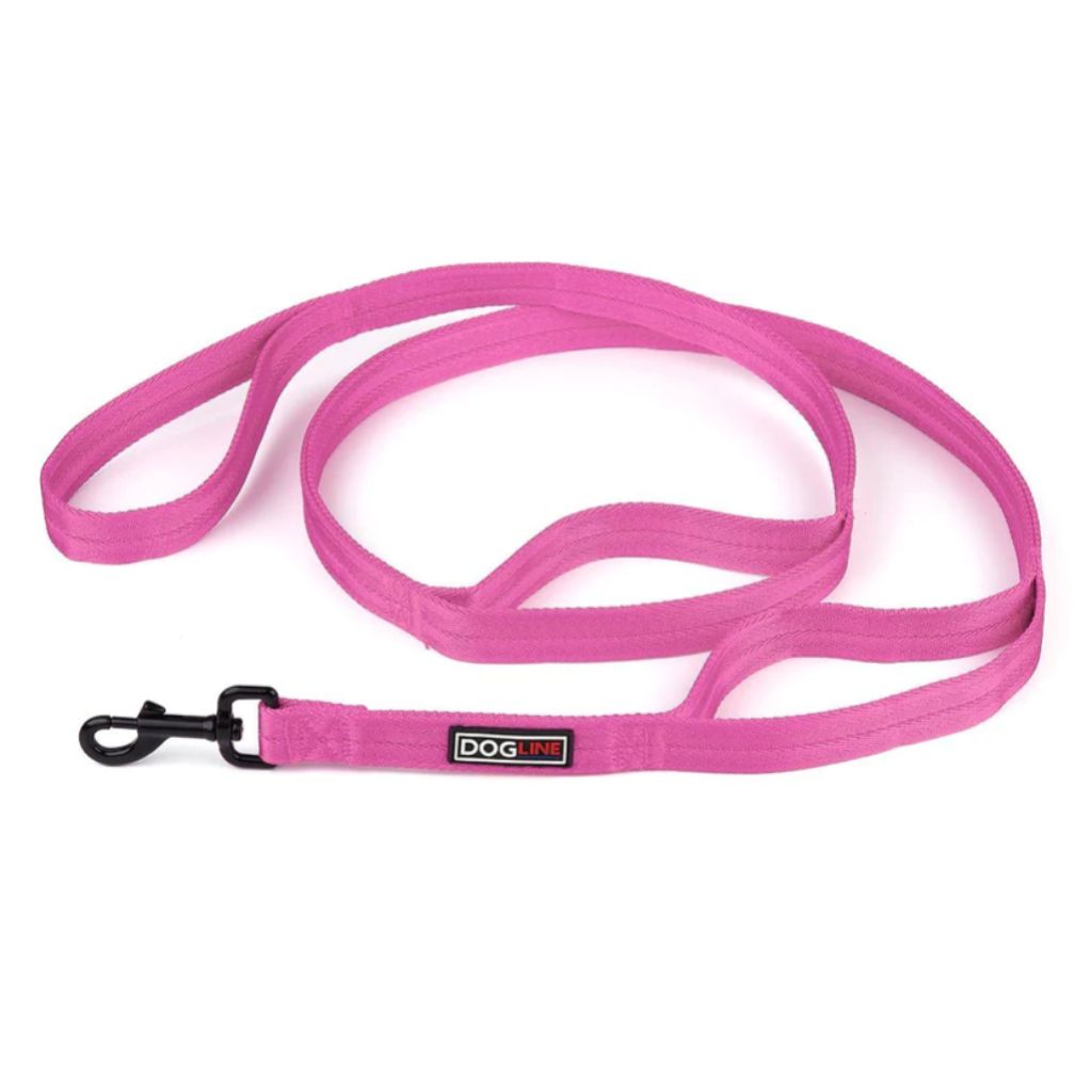 DogLine - Leash Nylon Double Thick Multi Hidden Handles 1" x 6'