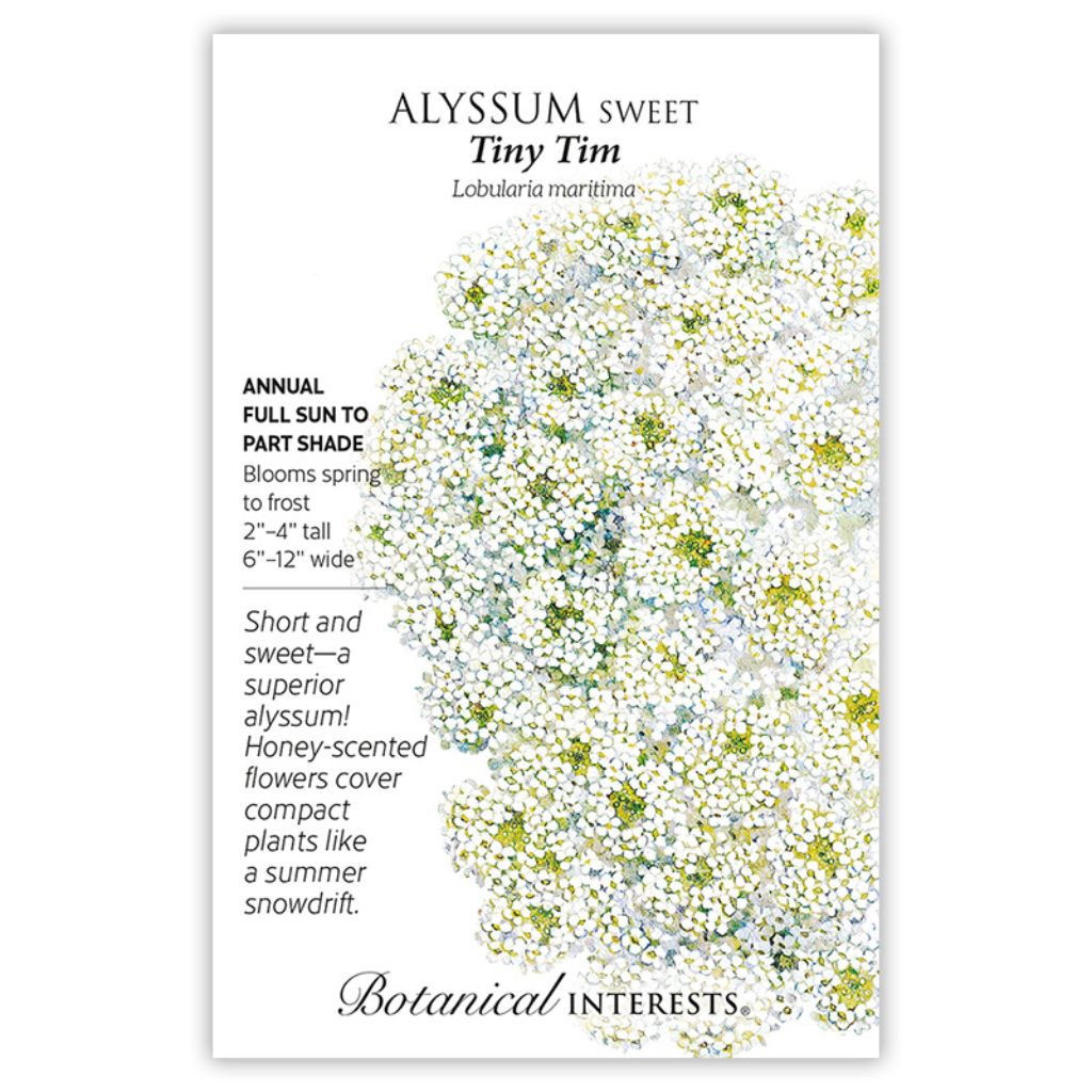 Botanical Interests, Inc. - Alyssum Sweet Tiny Tim Seeds