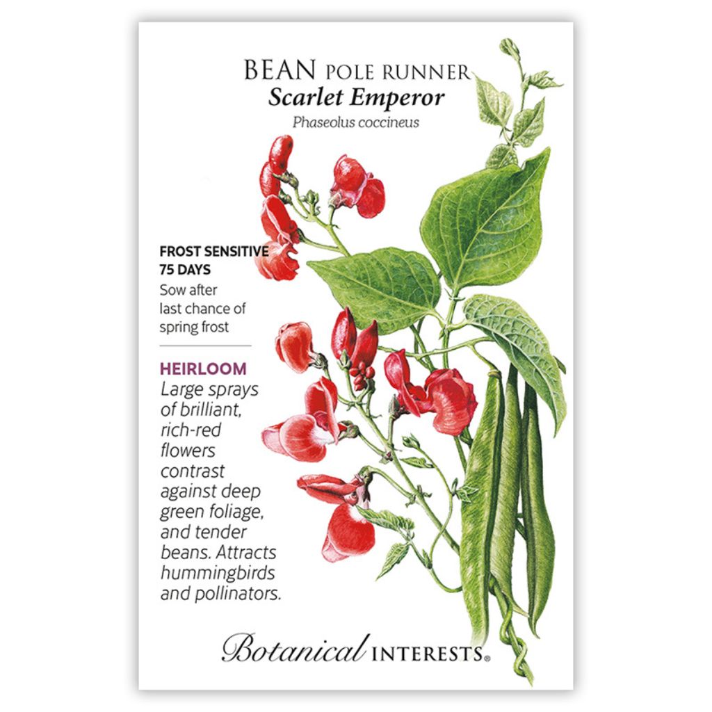 Botanical Interests, Inc. - Bean Pole Runner Scarlet Emperor Seeds