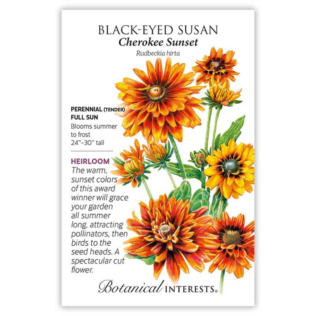 Botanical Interests, Inc. - Black-Eyed Susan Cherokee Sunset Seeds