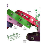 Leather Brothers - Collar Leather With Bone Conchos 1" Kiwi - Southern Agriculture 