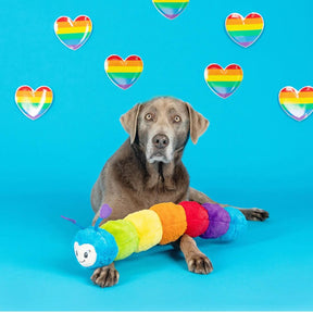Petshop by Fringe Studio - Don't Bug Me Colorful Worm Plush Dog Toy - Southern Agriculture 