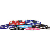Leather Brothers - Cat Collar Breakaway Velvet With Rhinestones 3/8x12" - Southern Agriculture 