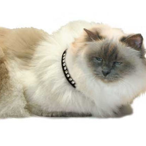 Leather Brothers - Cat Collar Breakaway Velvet With Rhinestones 3/8x12" - Southern Agriculture 