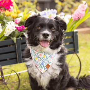 The Foggy Dog - Bandana Dog Tulip Garden