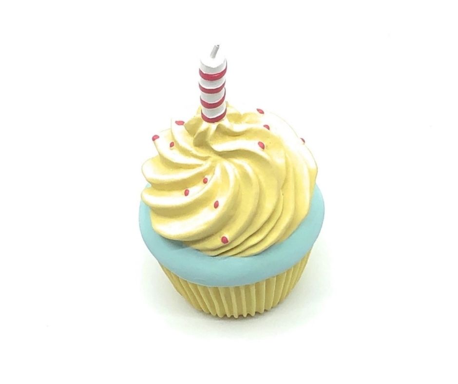 Lanco - Birthday Cupcake Squeaky. Dog Toy.-Southern Agriculture