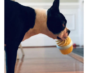 Lanco - Birthday Cupcake Squeaky. Dog Toy.-Southern Agriculture