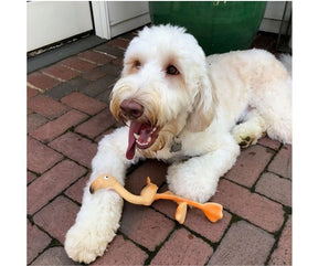 Lanco - Squeaky Flamingo. Dog Toy.-Southern Agriculture