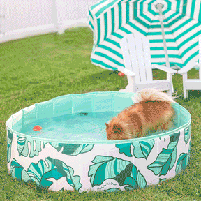 Dog Pool That's Banana(leave)s - Southern Agriculture 