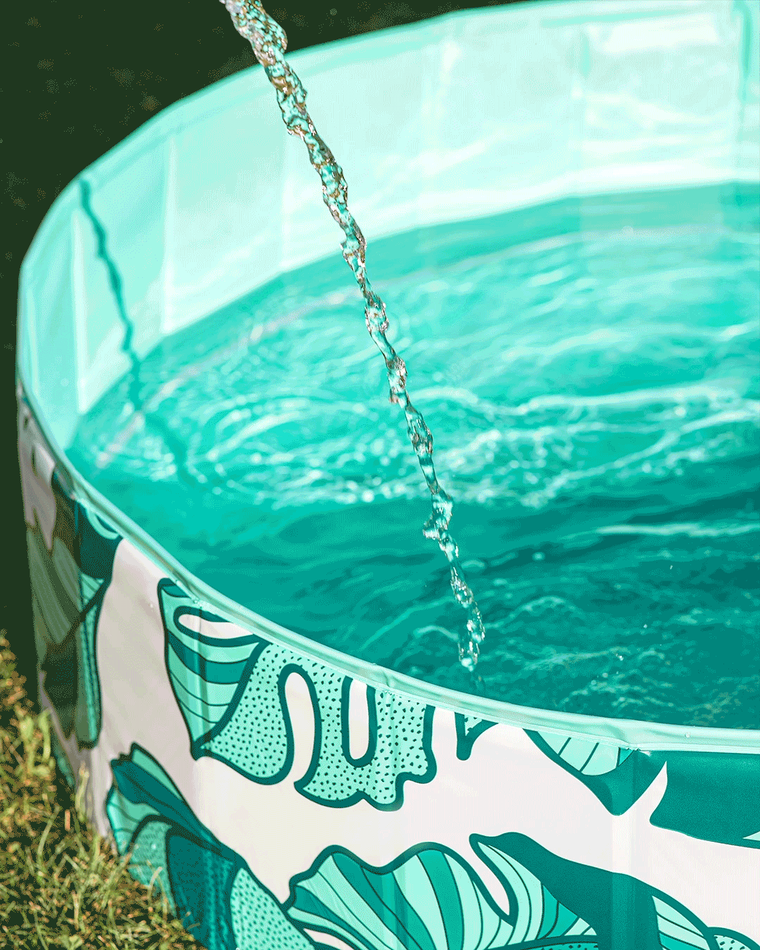 Dog Pool That's Banana(leave)s - Southern Agriculture 