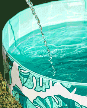 Dog Pool That's Banana(leave)s - Southern Agriculture 