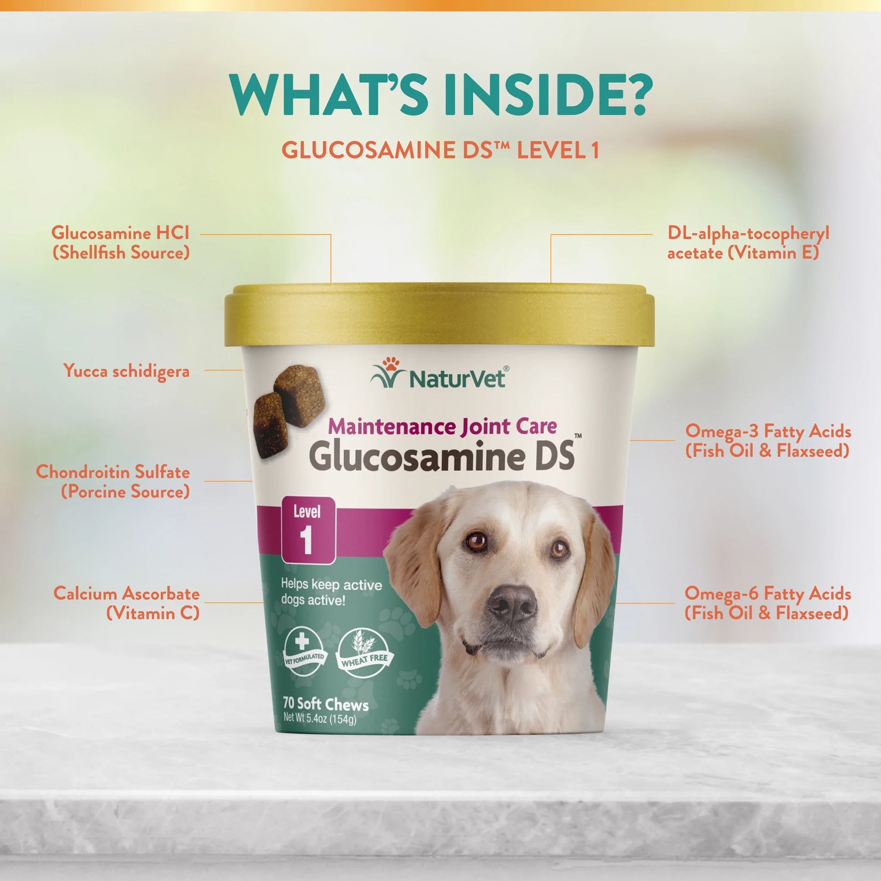 NaturVet - Glucosamine DS Plus Level 1	Soft Chews by NaturVet - Southern Agriculture 