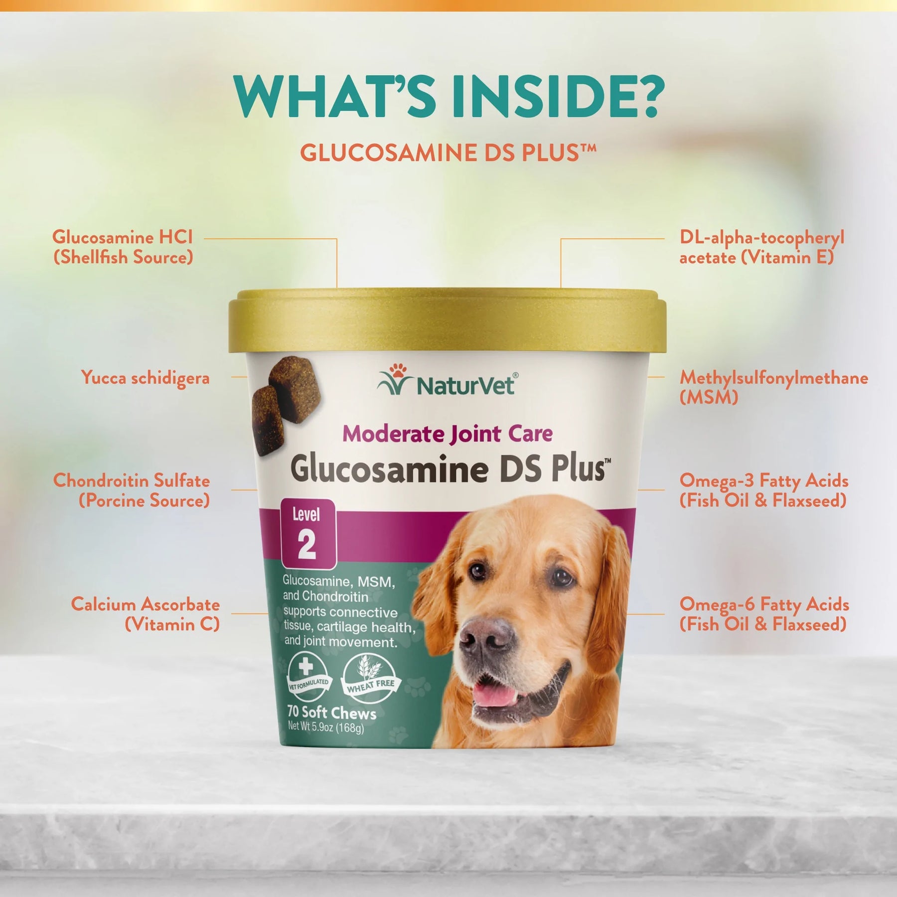 NaturVet - Glucosamine DS Plus Level 2	Soft Chews by NaturVet