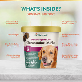 NaturVet - Glucosamine DS Plus Level 2	Soft Chews by NaturVet
