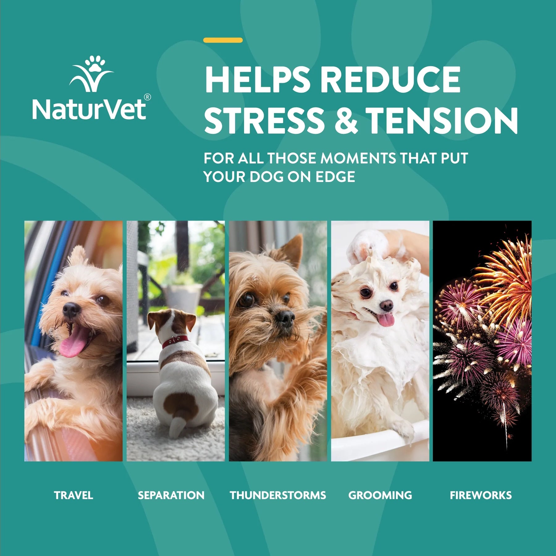 NaturVet - Hemp Quiet Moments Plus Soft Chews by NaturVet - Southern Agriculture 