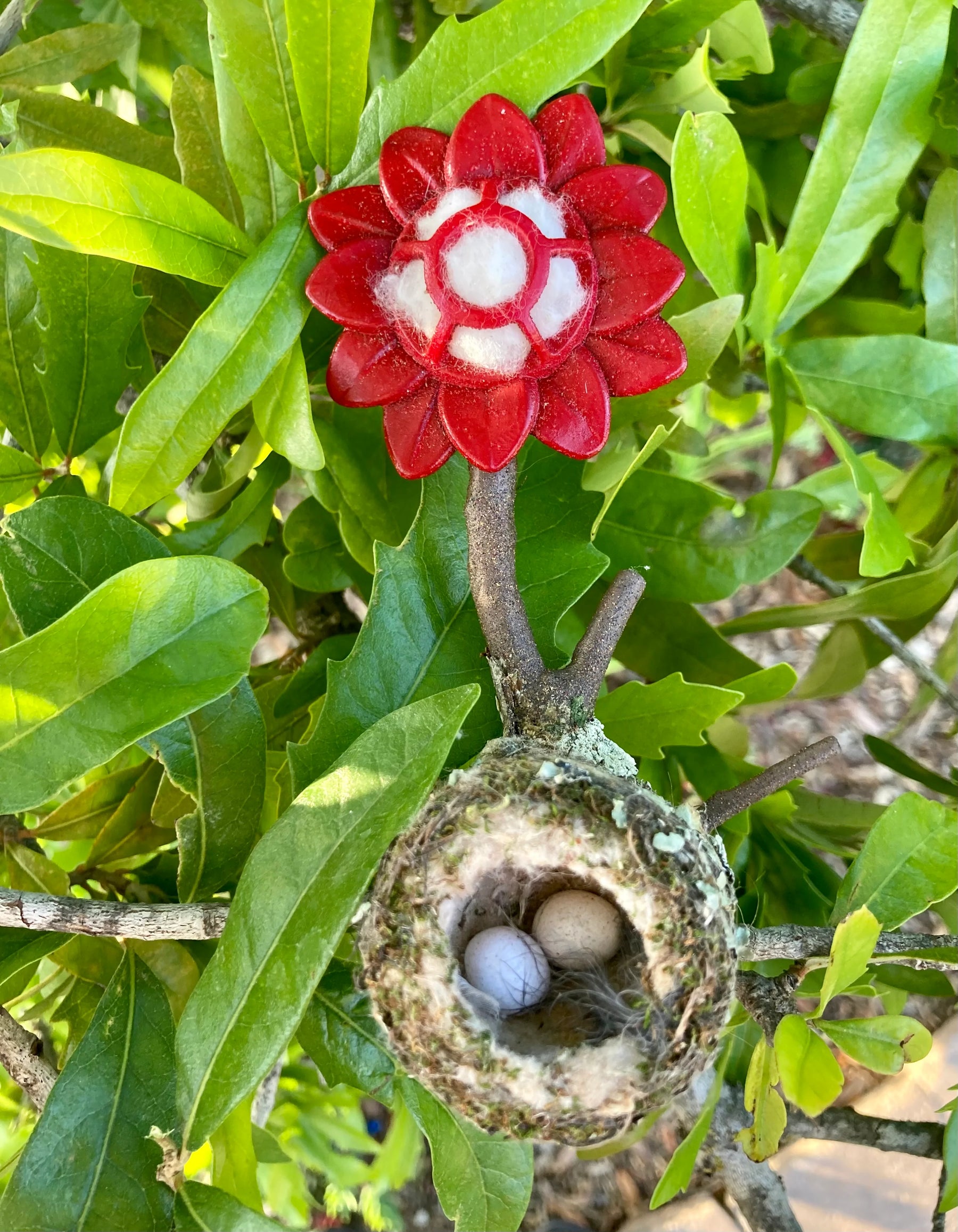 Quackups - Hummingbird Home w/Nesting Fiber & Ring red Flower - Southern Agriculture 