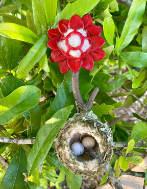 Quackups - Hummingbird Home w/Nesting Fiber & Ring red Flower - Southern Agriculture 