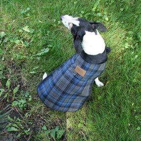 Carolina Pet Company - Pendleton Crescent Lake Dog Coat